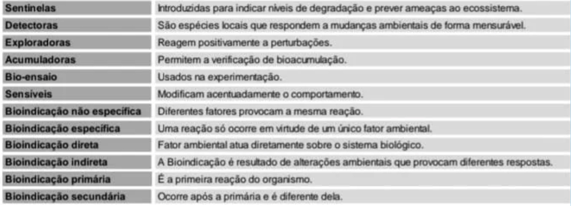 Quadro comparativo com a classificação de bioindicadores utilizados no projeto, listando categorias e exemplos.